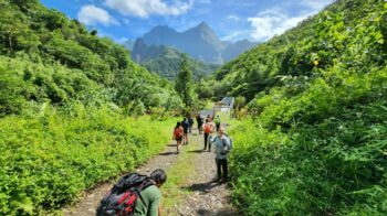 Randonnees_Tahiti_Te_Toa_hiking_Fare_Hape_07_24A